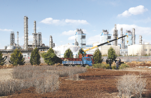 绿茵体育APP界面展示